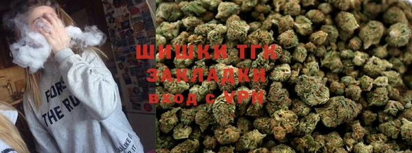 круглые Гусев