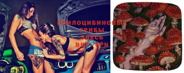 гашиш Гусь-Хрустальный