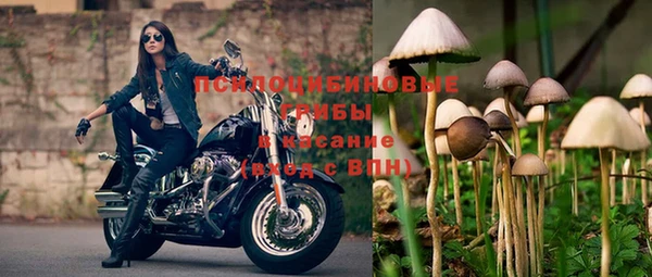 круглые Гусев