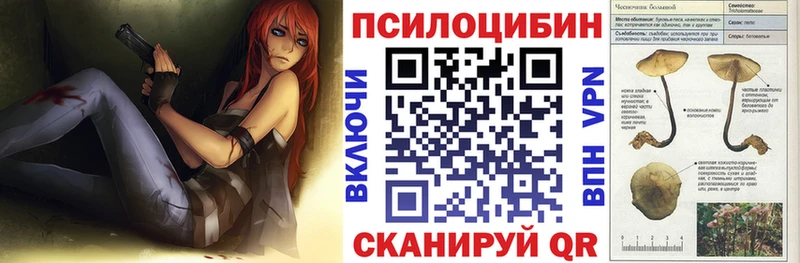 Купить закладки  Краснокамск  Галлюциногенные грибы мухоморы 